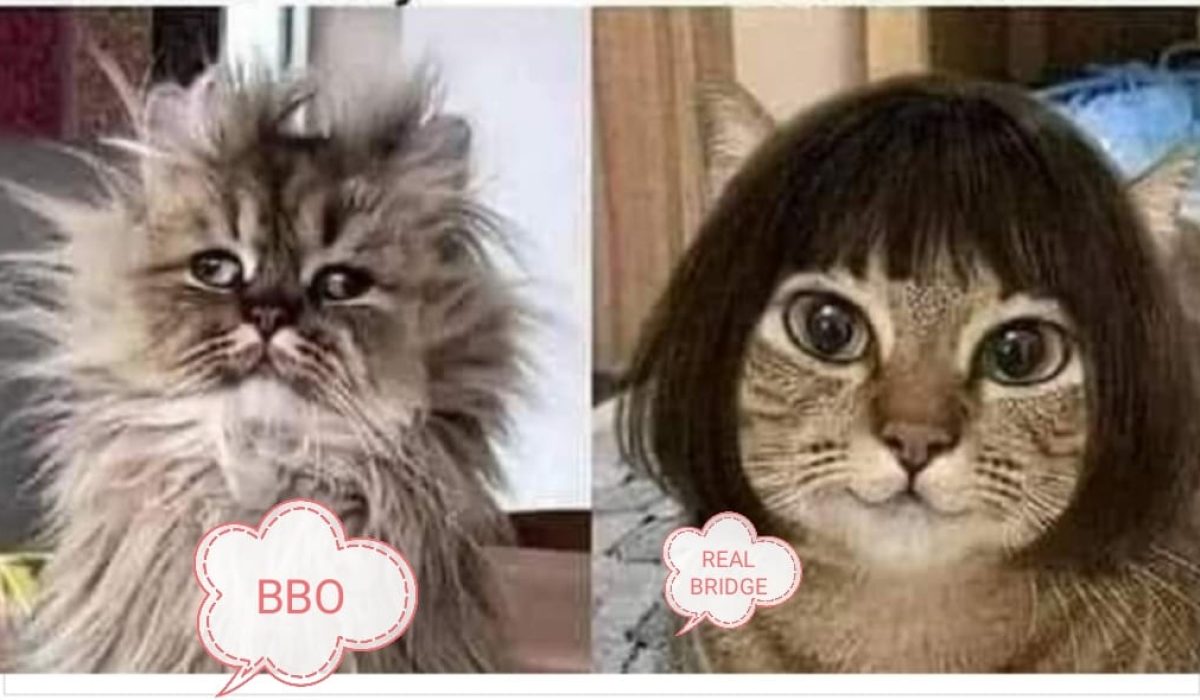 BBO vs RealBridge